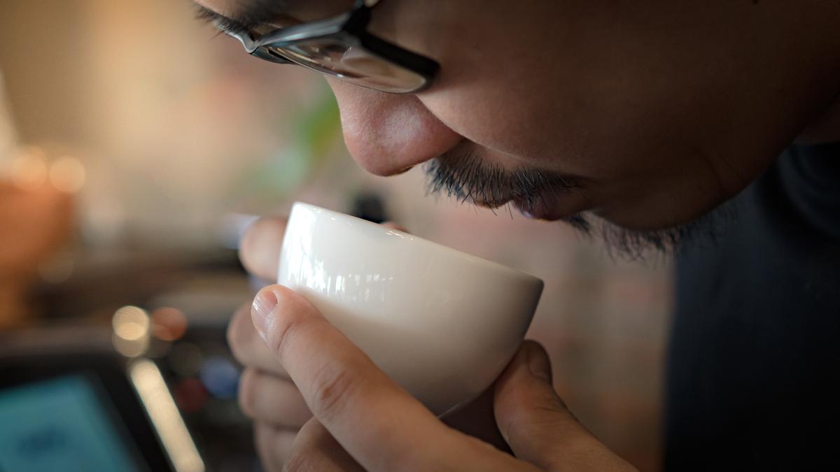 mengenal asam dan keasaman pada kopi - kopitem.com